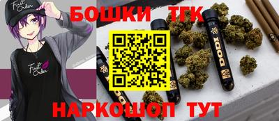 твердый Камень-на-Оби