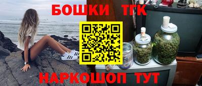 твердый Камень-на-Оби