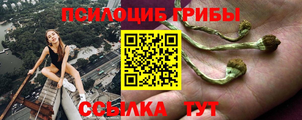 Сыктывкар  Галлюциногенные грибы Magic Shrooms  Вход с VPN 